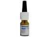 Rhinocort Nasal Spray Rhinocort Nasal Spray